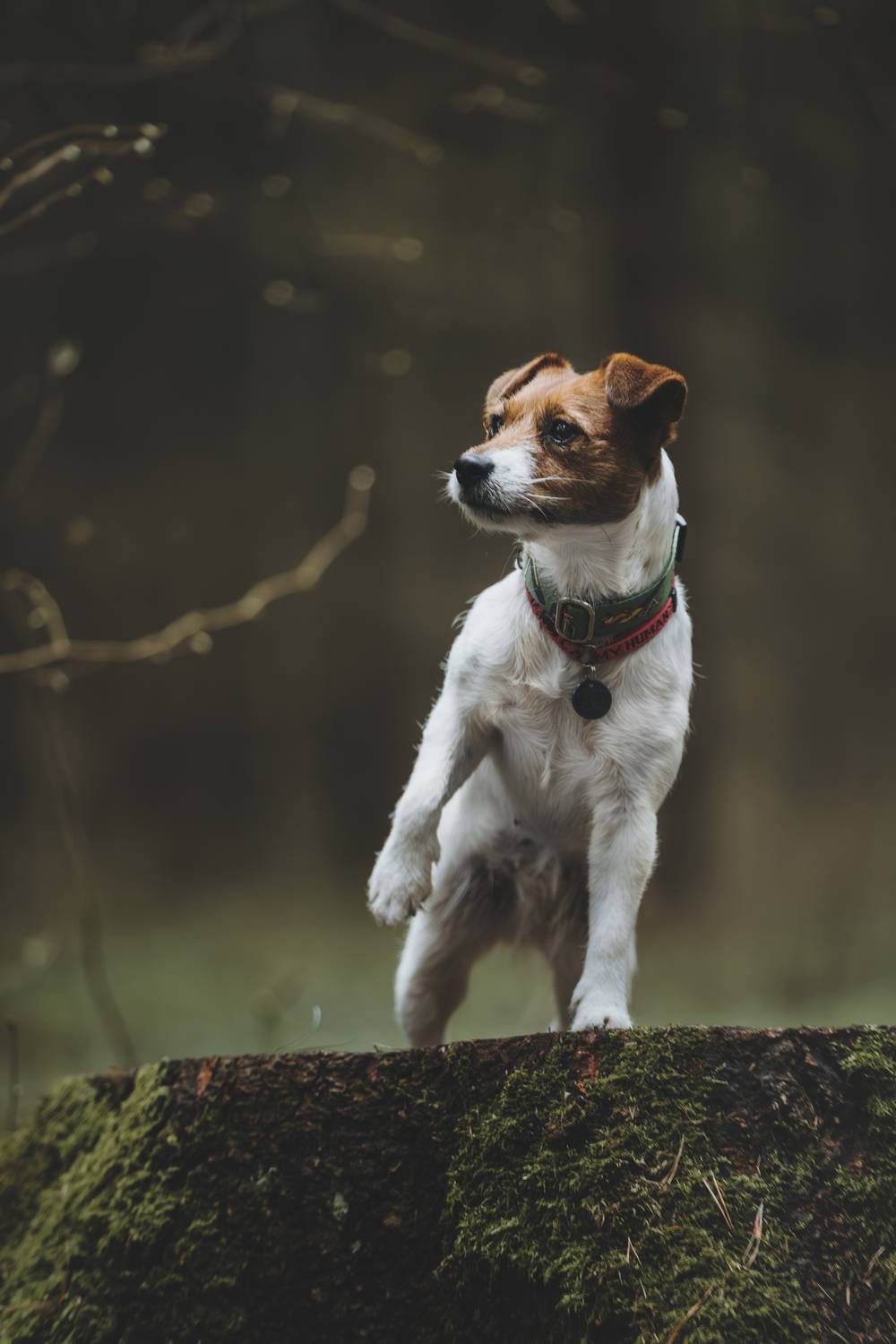 , Беспалова Полина