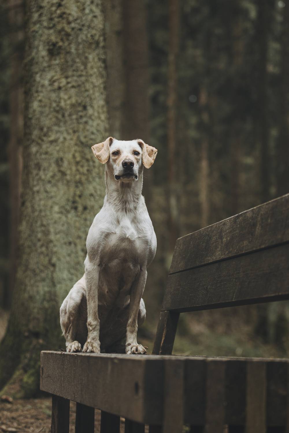 , Беспалова Полина