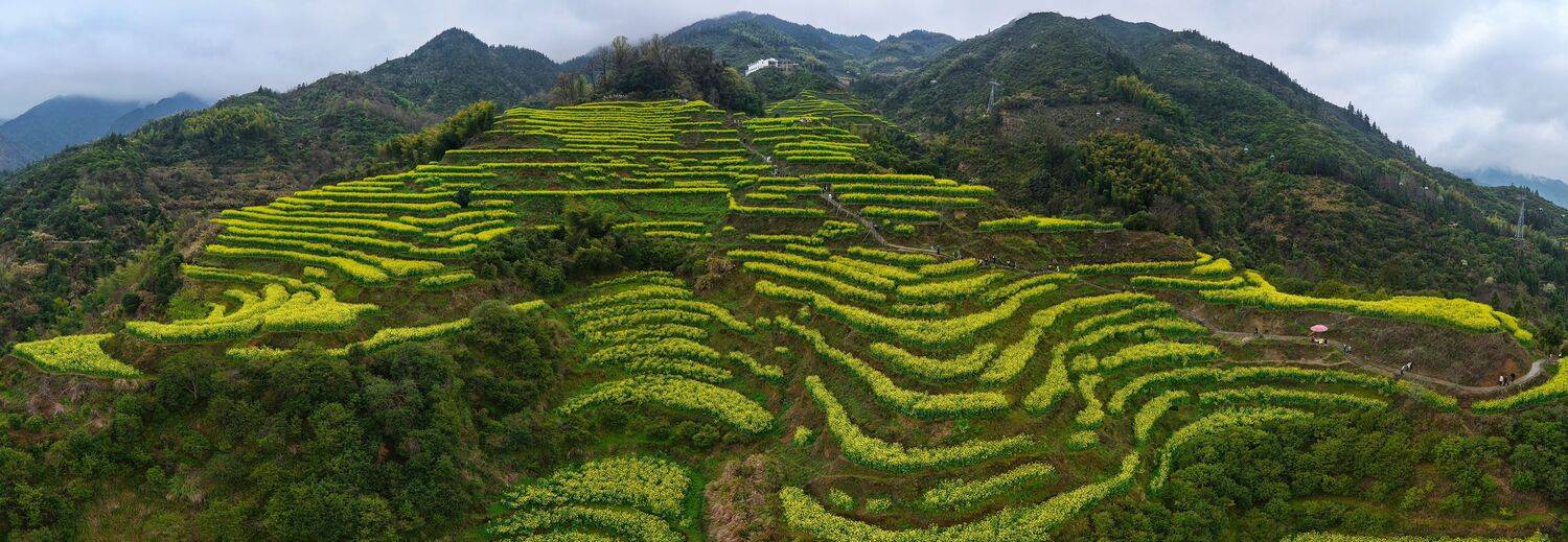 , Игорь Щербаков