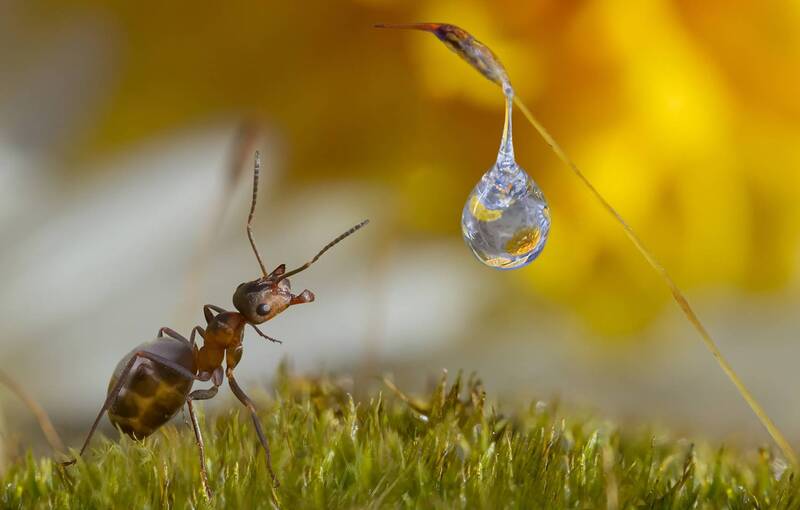 Подожди, не падай! фото превью