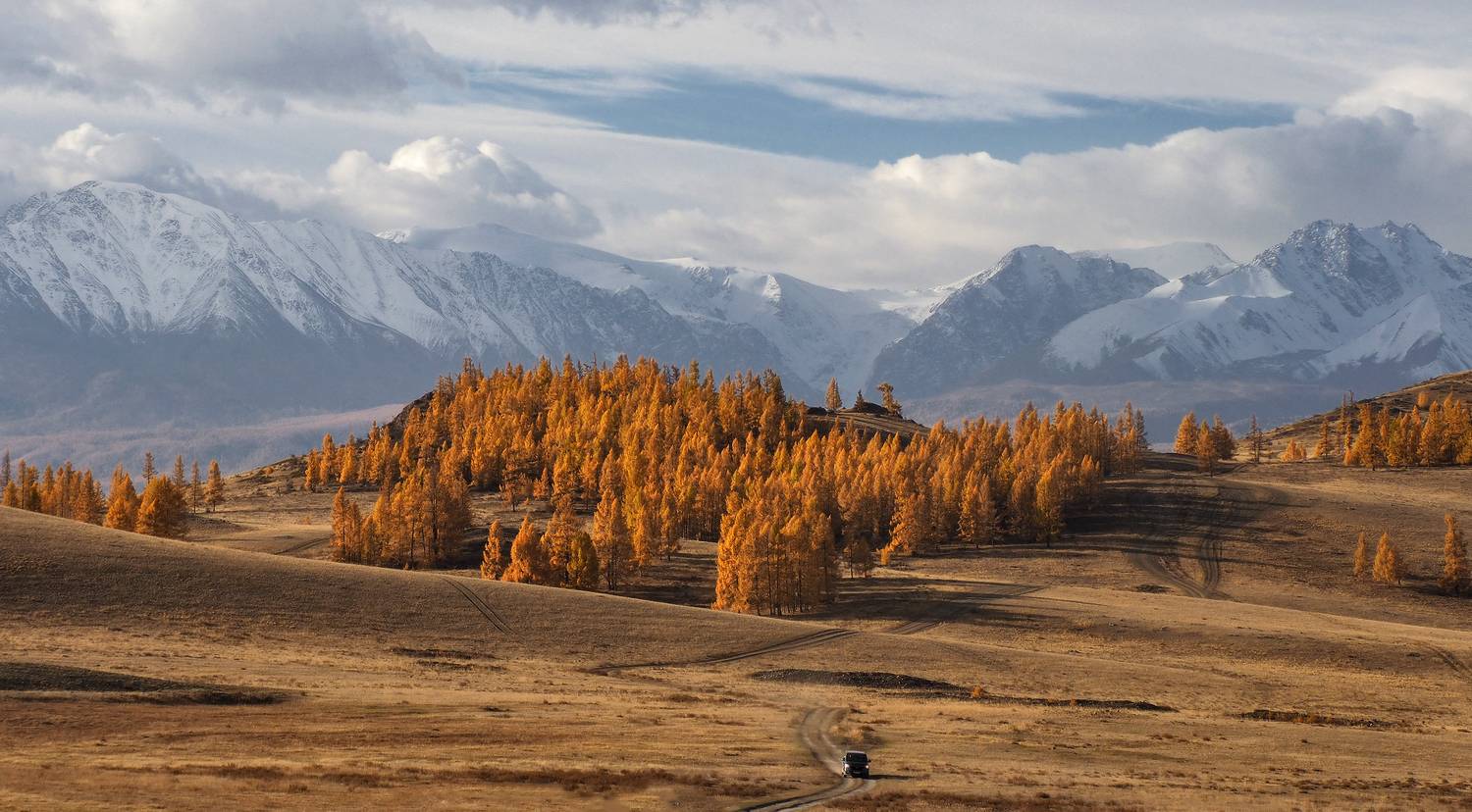алтай, горный алтай, республика алтай, северо-чуйский хребет, вершина актру, курай, Галина Хвостенко