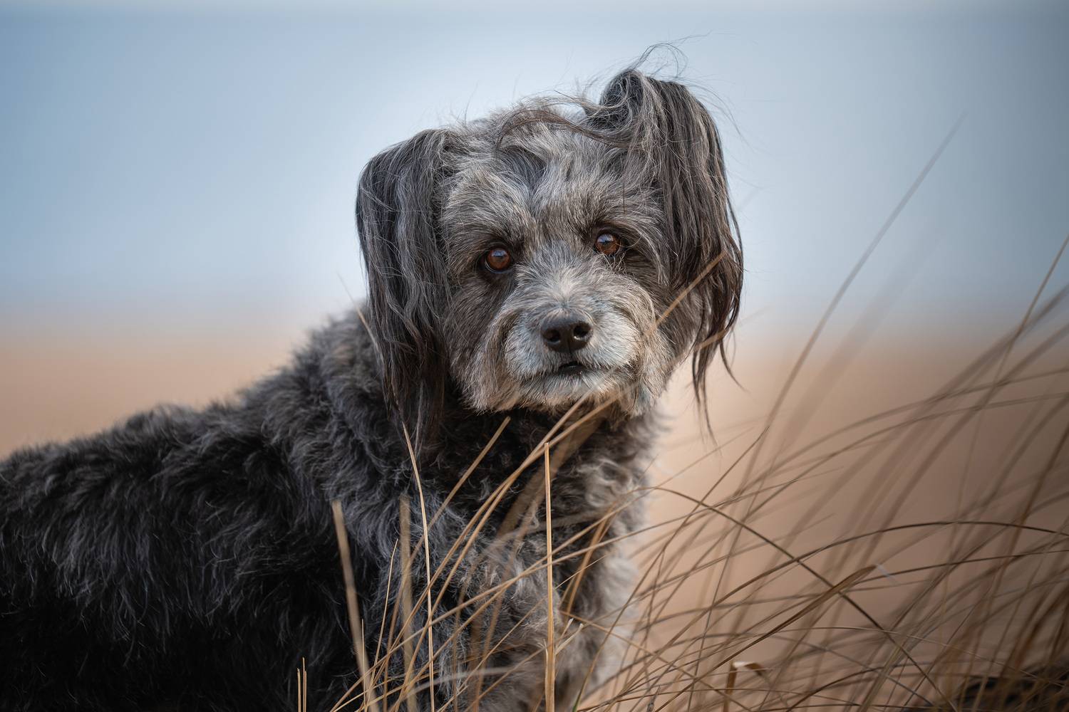 , Мороз Ирина