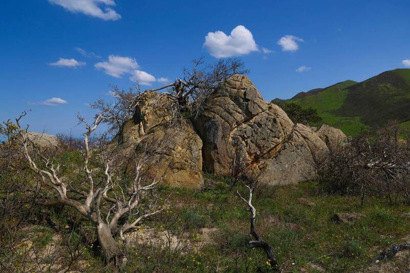 *** фото превью