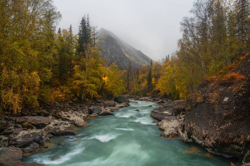 россия, горный алтай, река чуя, порог, осень Такая разная река... фото превью