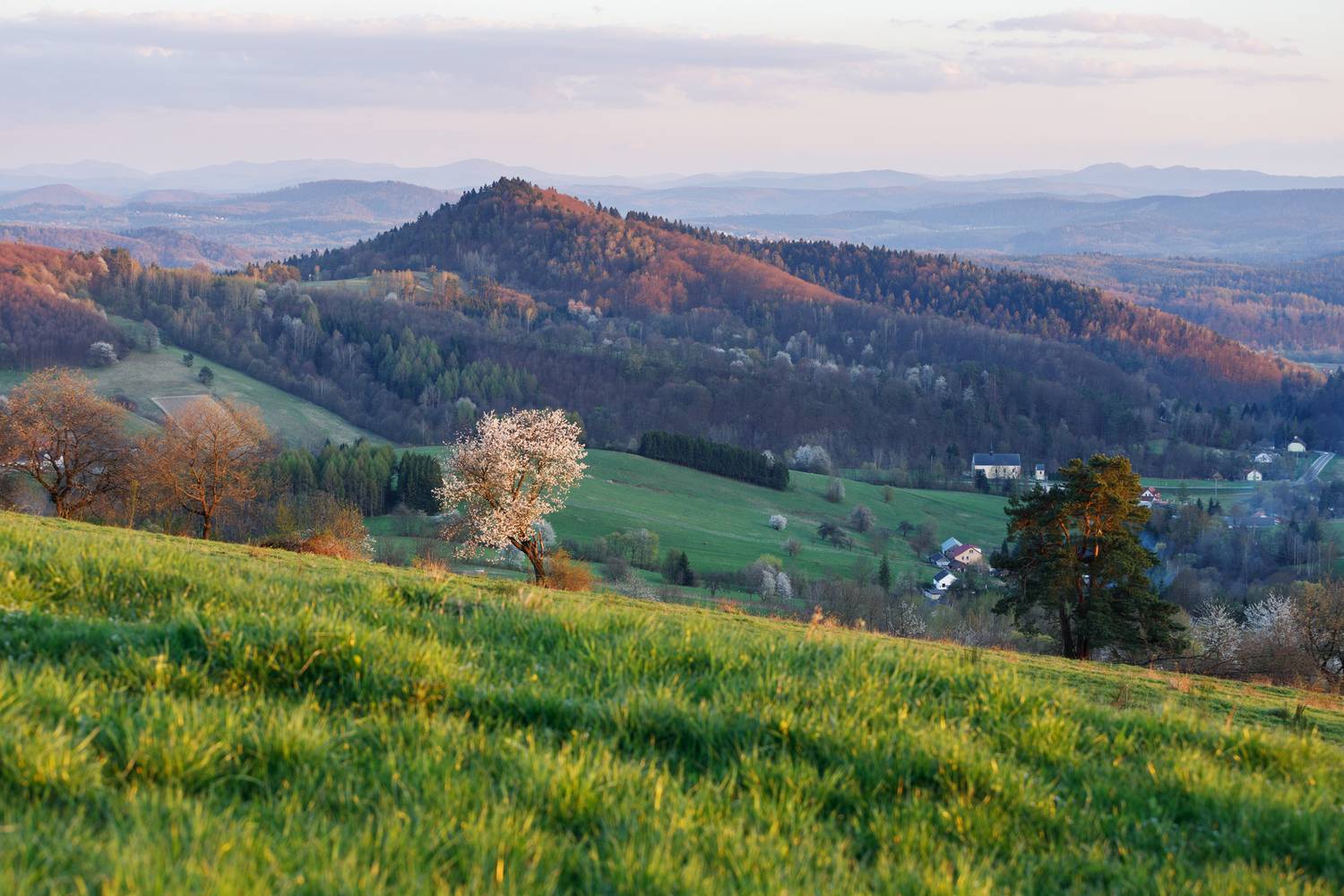 ,  Mirosław Pruchnicki