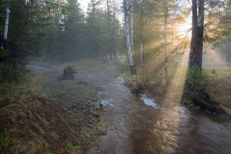 Вечерние лучи фото превью