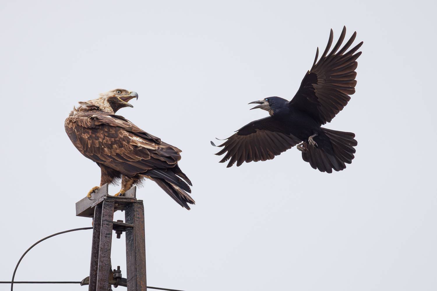 , Гильманов Артур