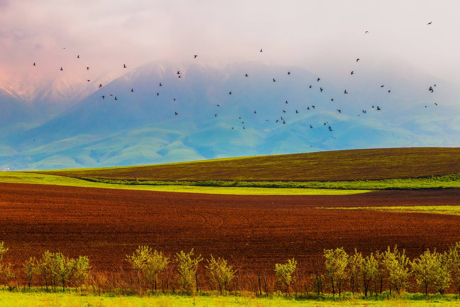 кыргызстан, Элина Магалимова