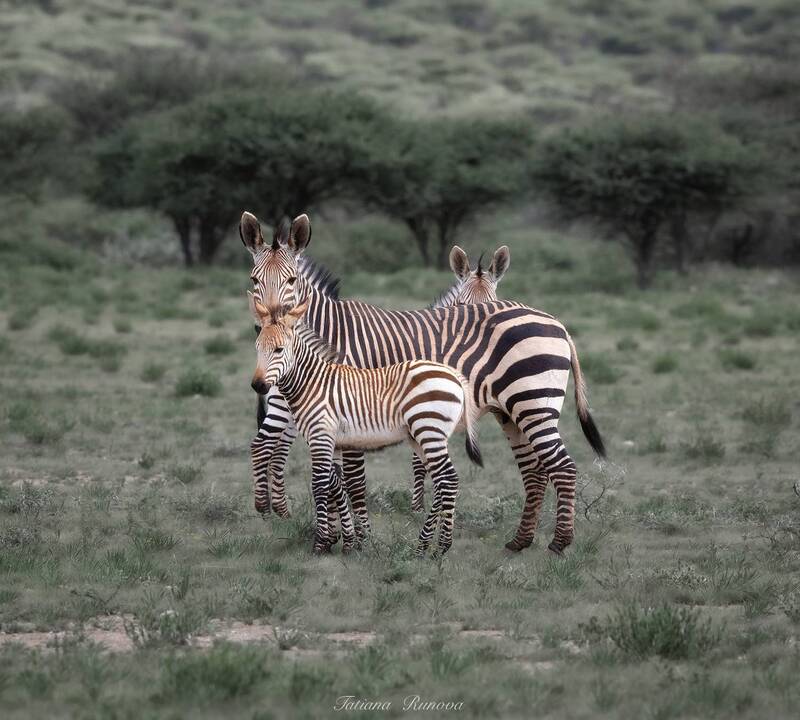 Милашки в тельняшках фото превью
