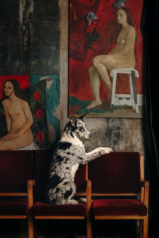 Ponyo фото превью