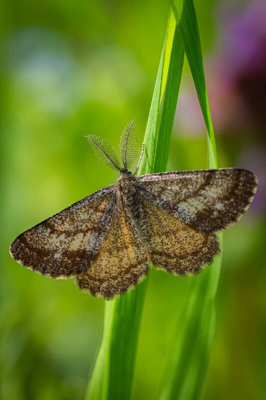Греемся на солнышке фото превью