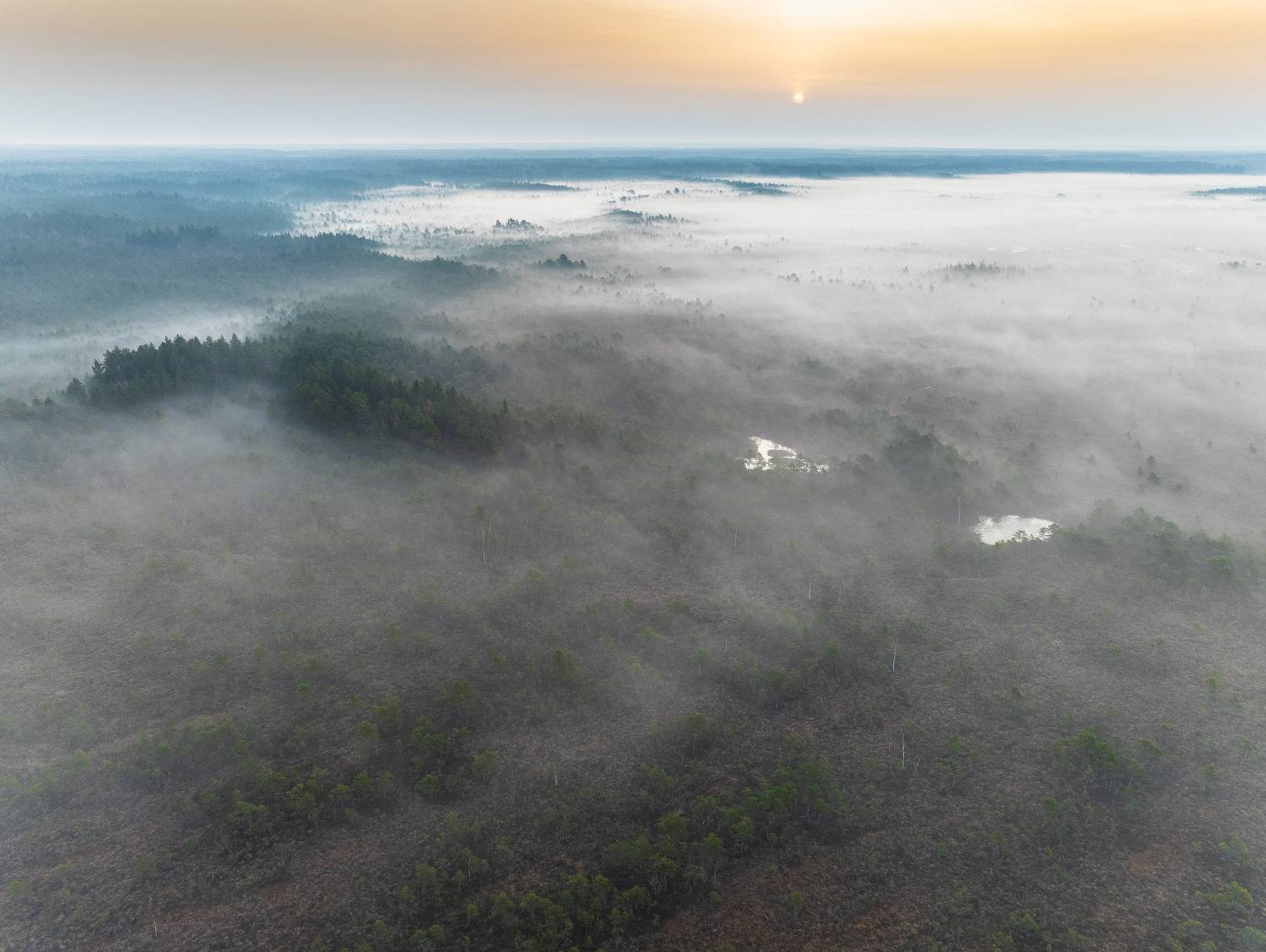 , Гордон Николай