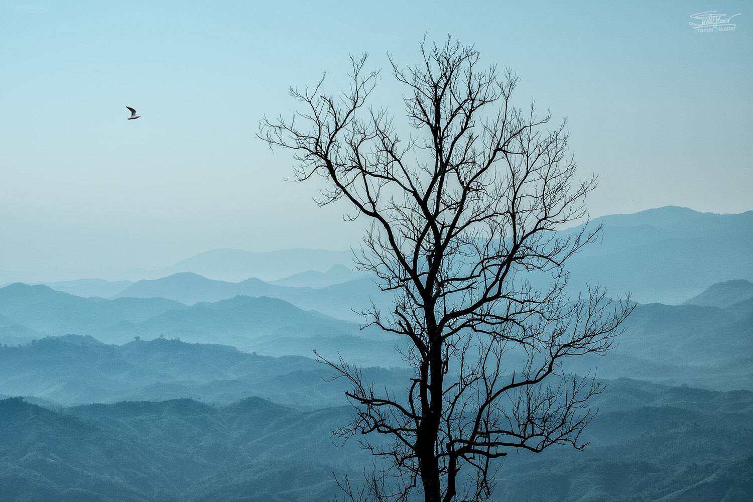 nikon d700, 80-400mm, vr, L&ecirc; Minh Hiếu