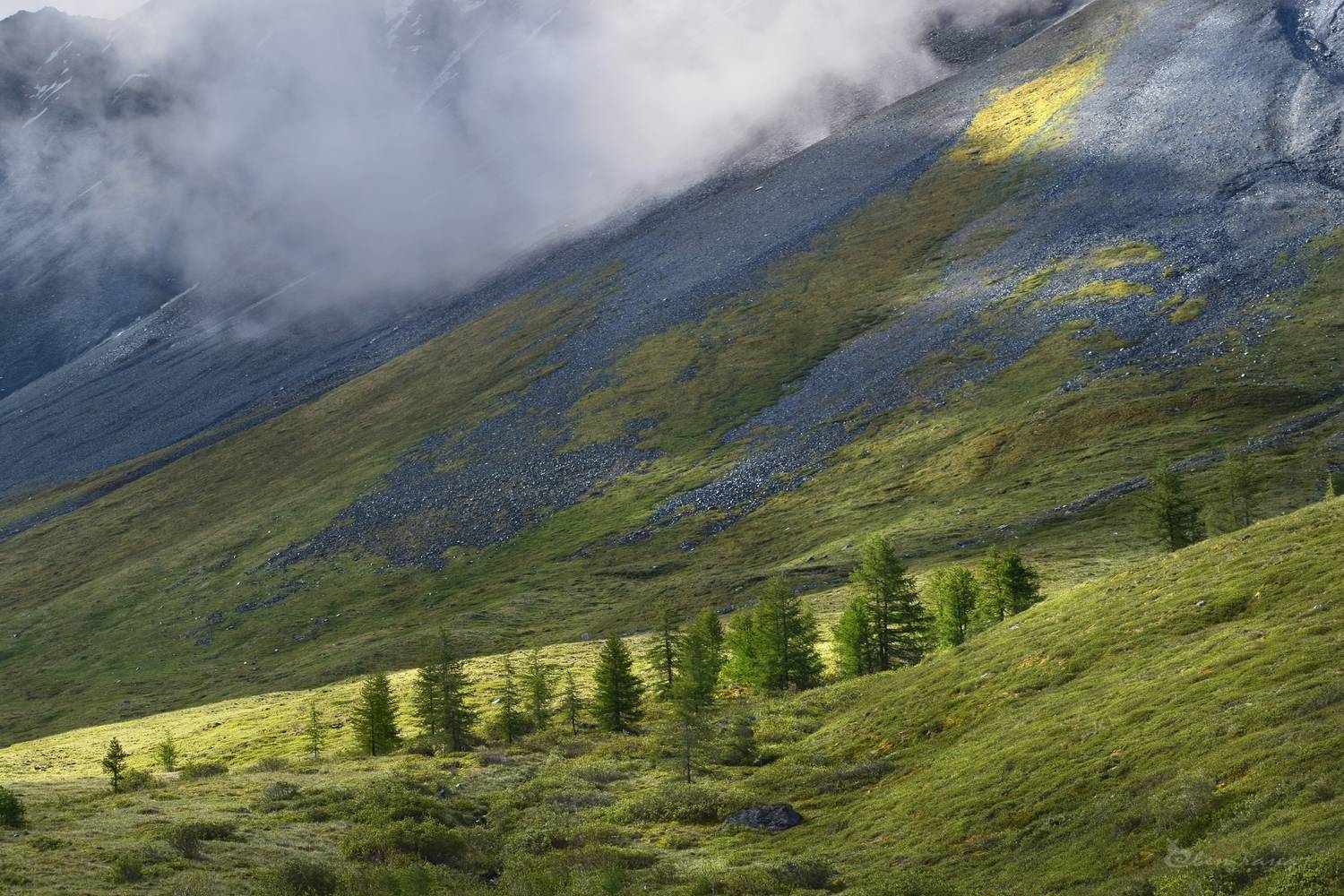 , Крат Светлана