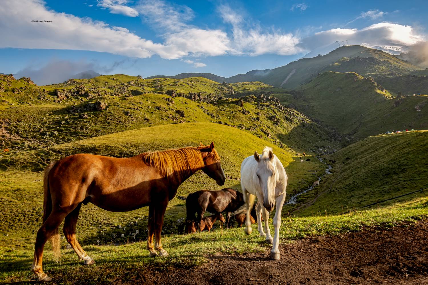 , Евдокимов Сергей