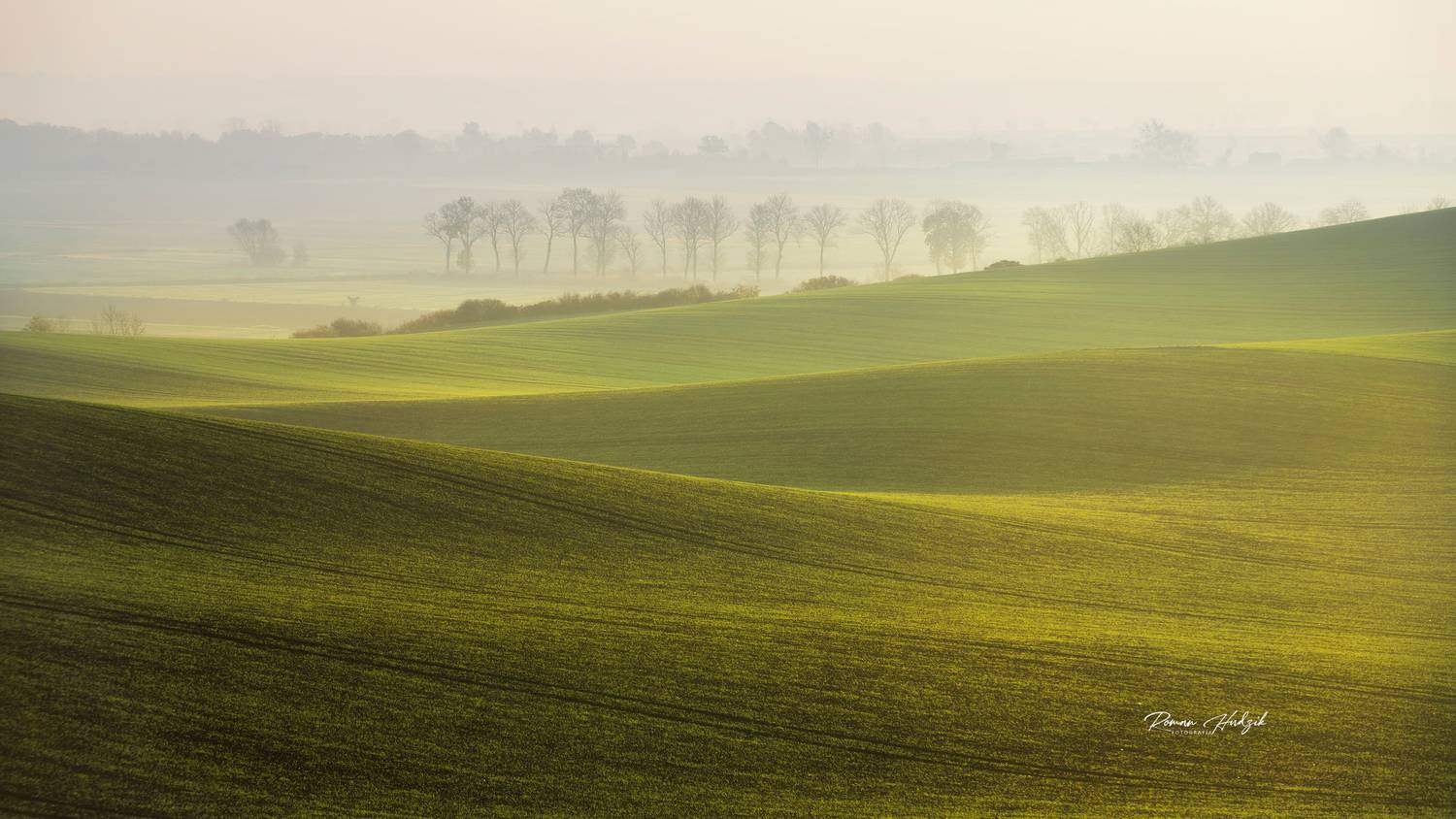 Field, Sunrise, Green, Waves, Landscape, Poland, Trees, Nikon, Nikon D 850, Hudzik Roman