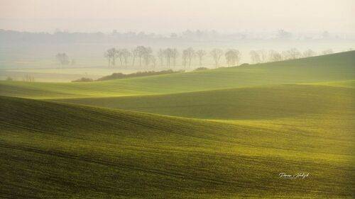 Field waves