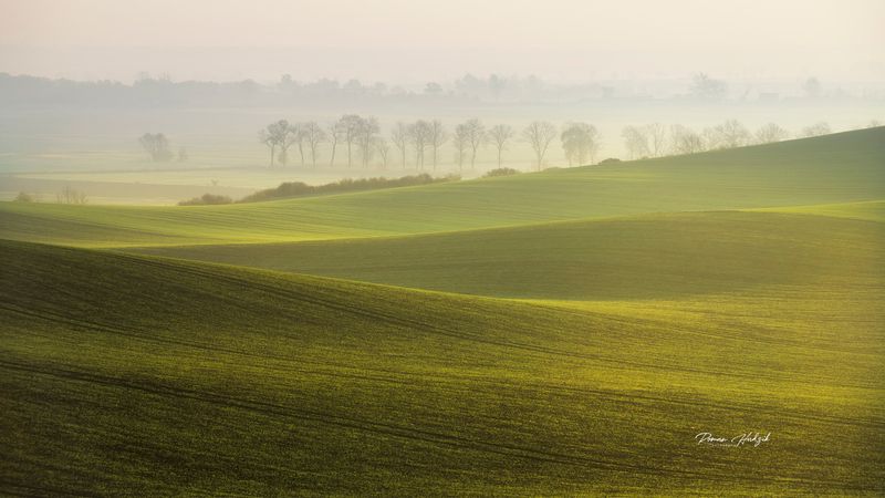 Field, Sunrise, Green, Waves, Landscape, Poland, Trees, Nikon, Nikon D 850 Field waves фото превью