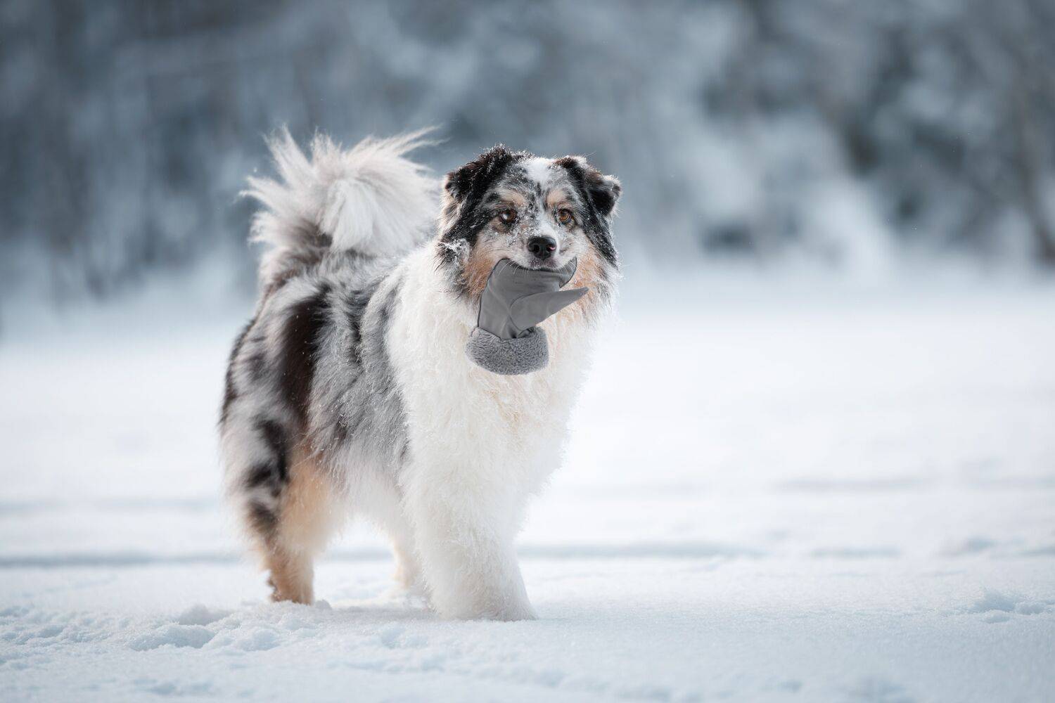 , Яна Нарбутович