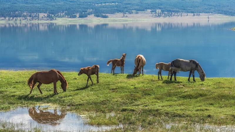 На берегу Хотон-Нуур фото превью