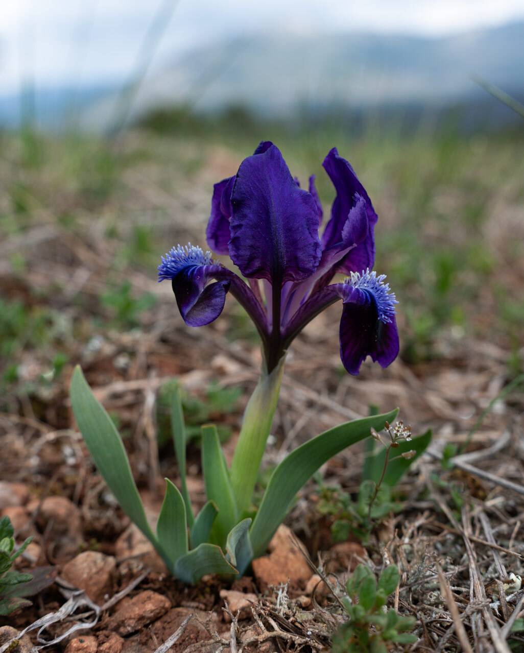 , Гусаченко Андрей