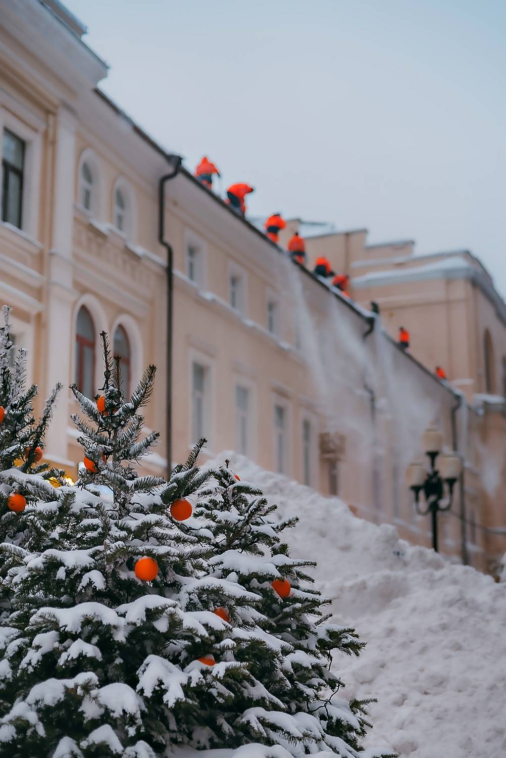 , Дарья Шевченко