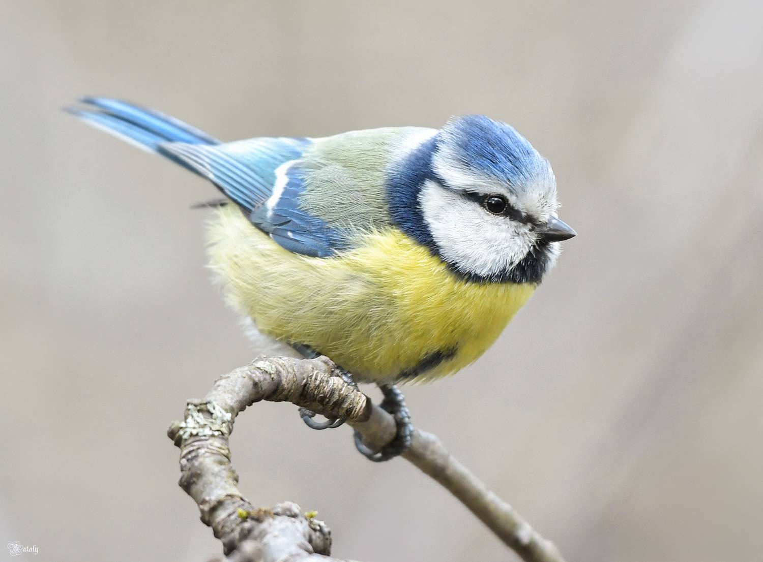 , Наталья Екимова