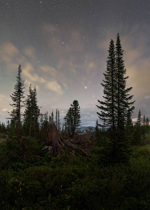 звездное небо, звездная ночь, астрономия, астрофотография Созвездия, обделенные вниманием... фото превью
