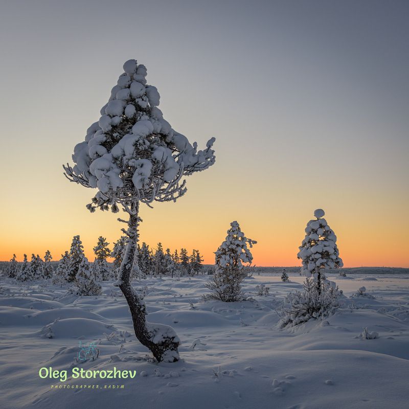 зима, мороз, снег, закат, небо, ямал, янао, надым Зимний вечер фото превью
