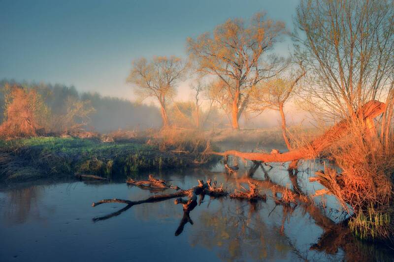 Первые лучи ... фото превью