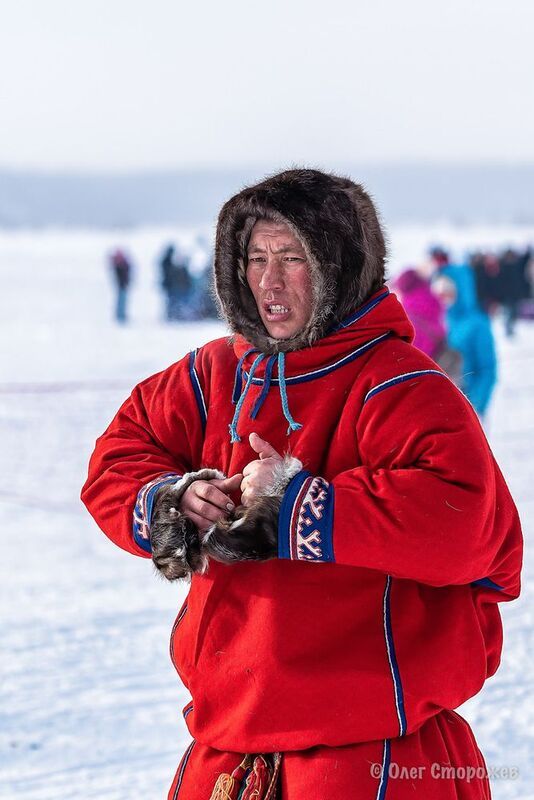 Оленевод фото превью