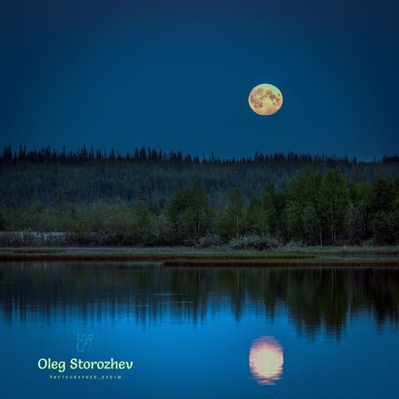 небо, озеро, лес, луна, отражение, штиль, тундра, живем на севере, надым, ямал, янао Штиль фото превью