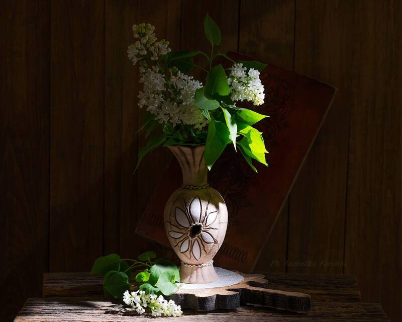 фото превью