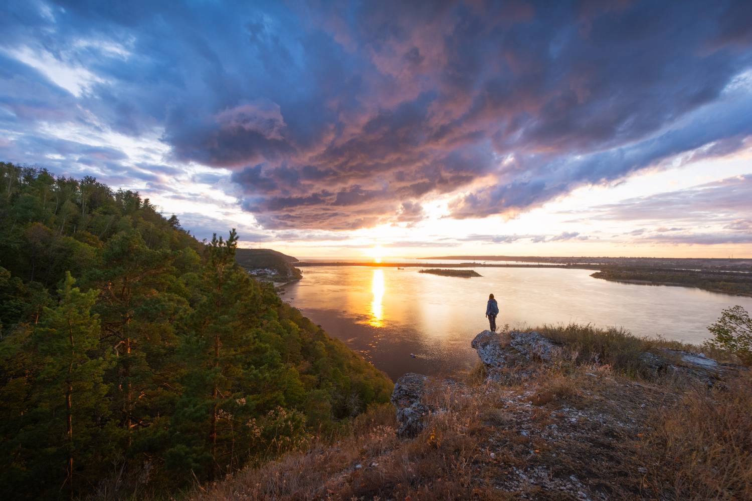 , Алексей Проняхин