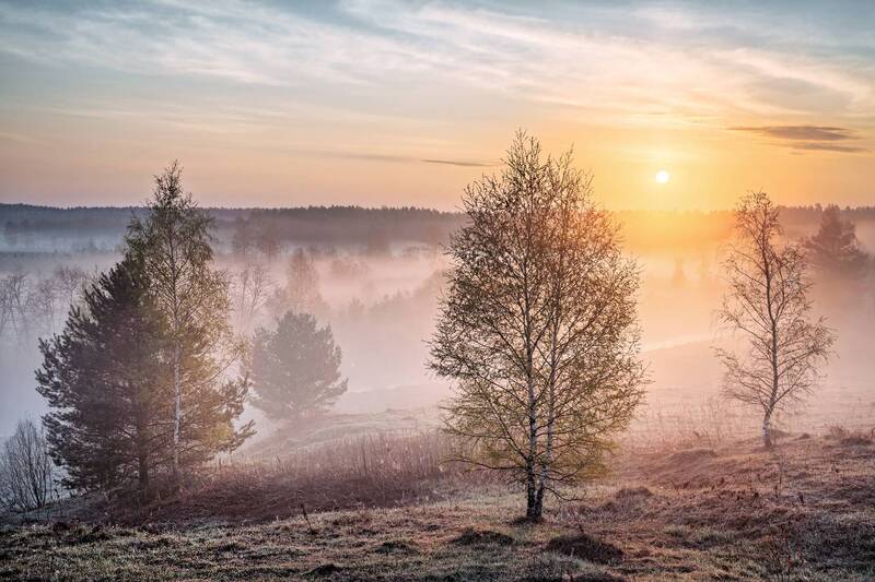 * фото превью