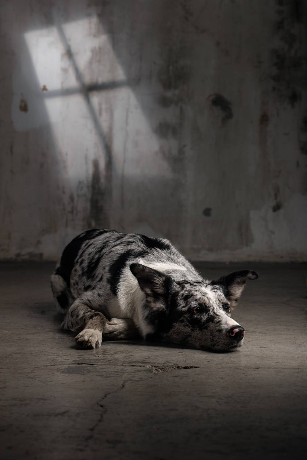 , Калинина Анна