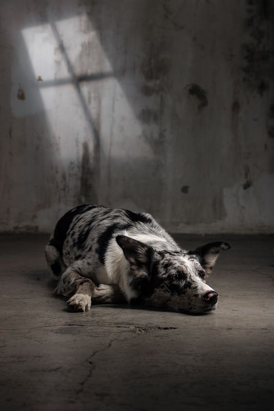 Without you фото превью