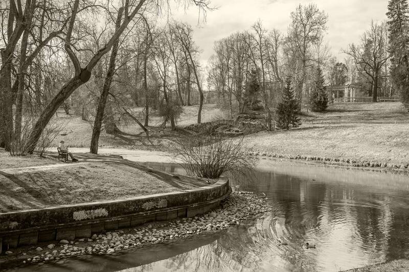 весна, пейзаж, черно белое В тишине под щебет весенний фото превью
