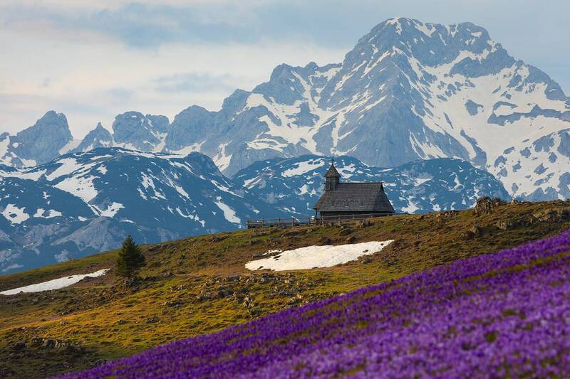 альпы, австрия, европа, альпийский луг, крокусы, весна, горы, evropa, austria, slovenia, alps, church Островок спокойствия фото превью
