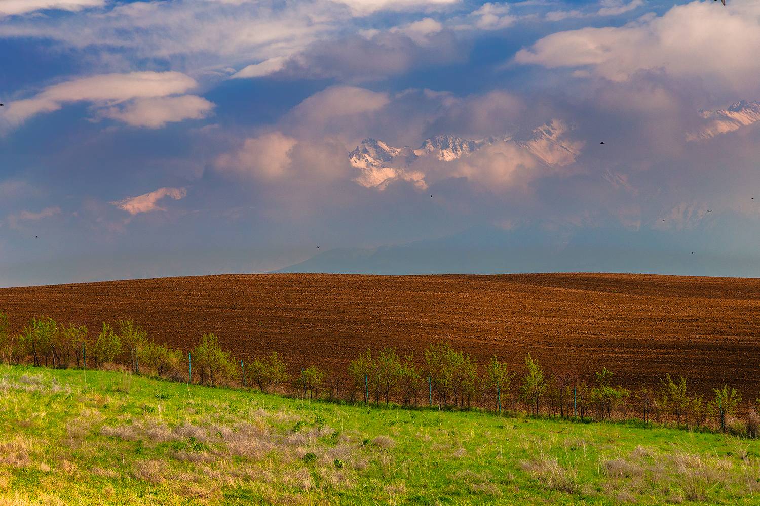 кыргызстан, Элина Магалимова