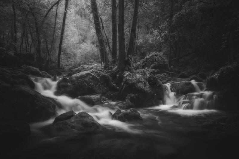 Where Stillness Divides фото превью