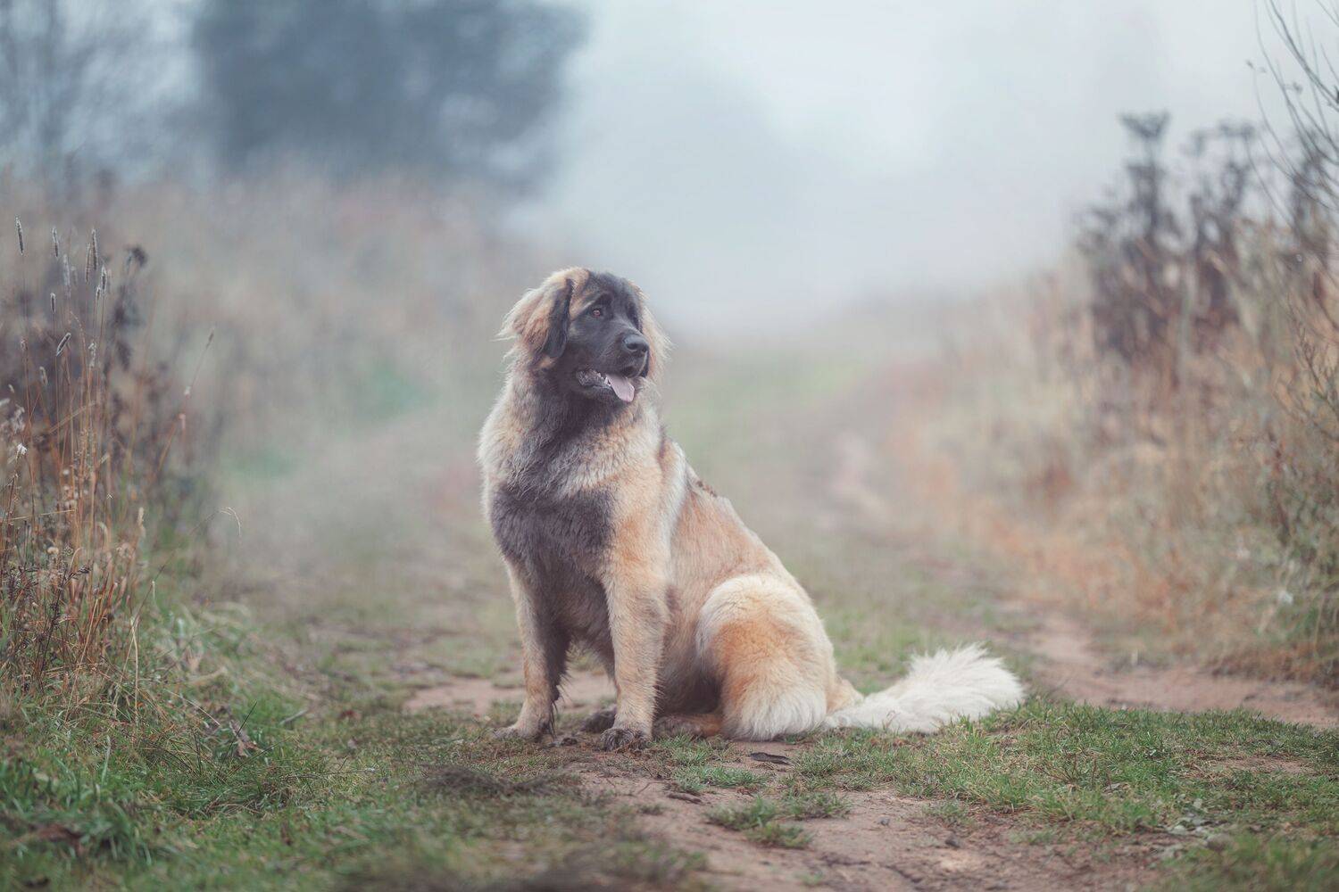 , Зубкова Юлия
