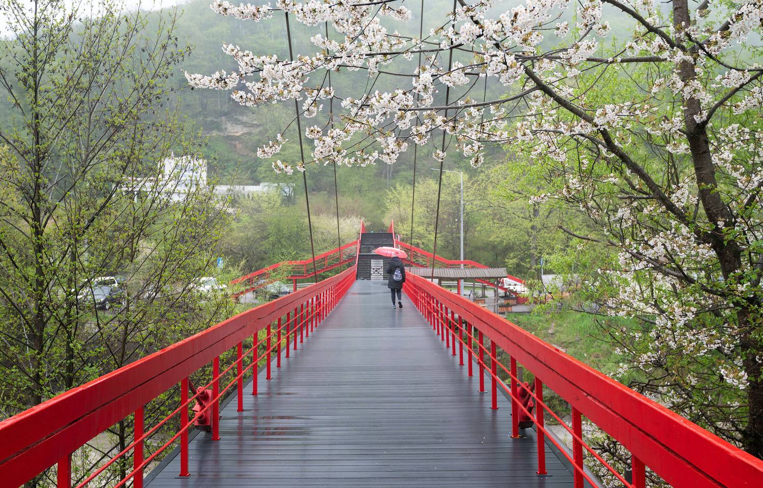 , Шевченко Юрий