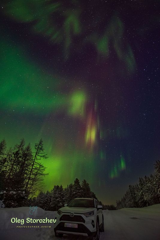 Жар-птица фото превью