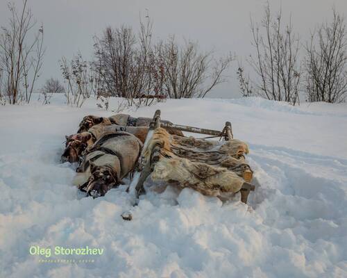 Они устали...