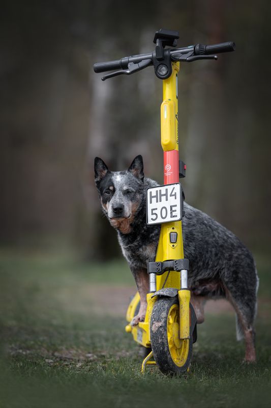 Сезон открыт фото превью
