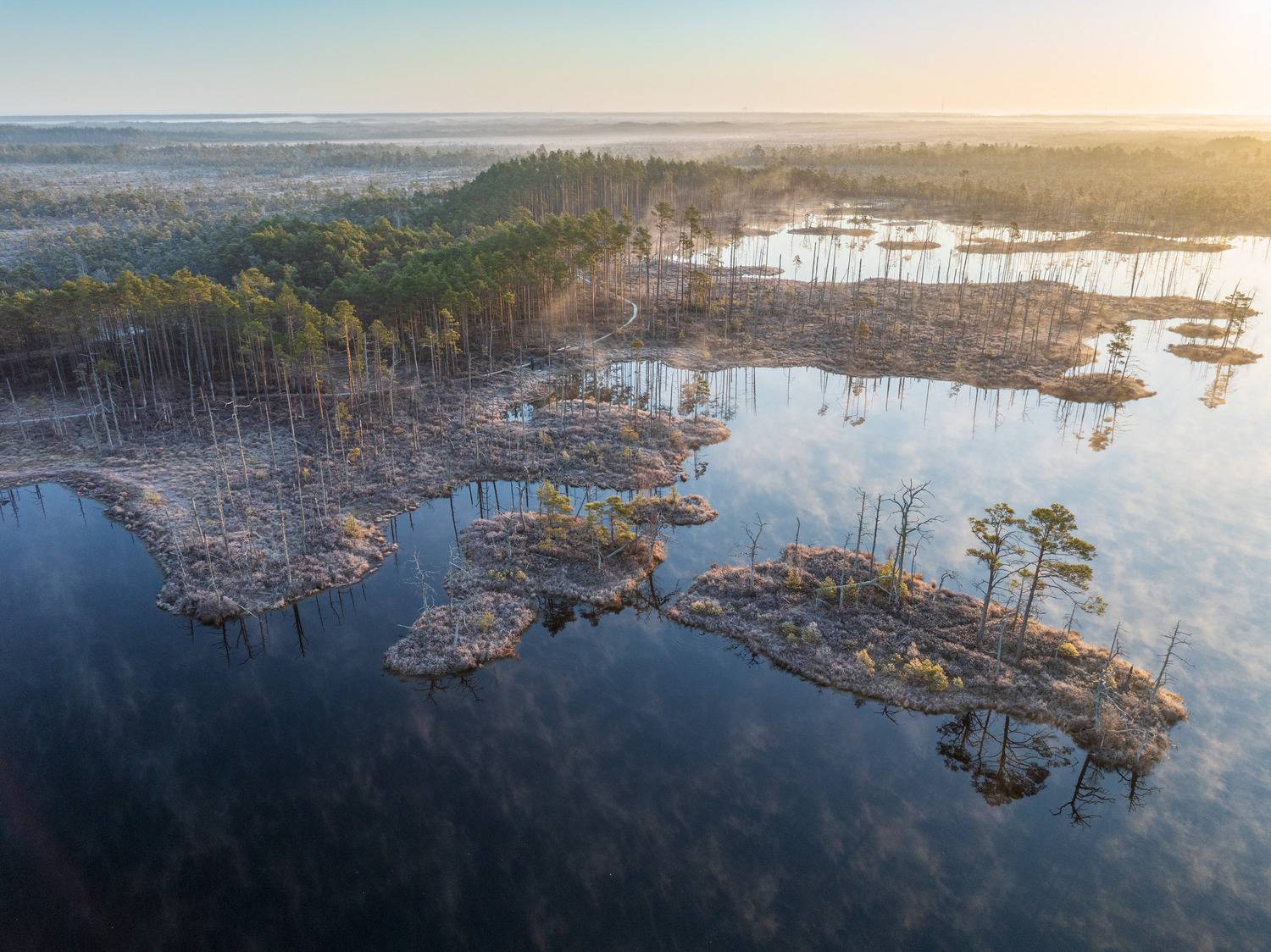 , Гордон Николай