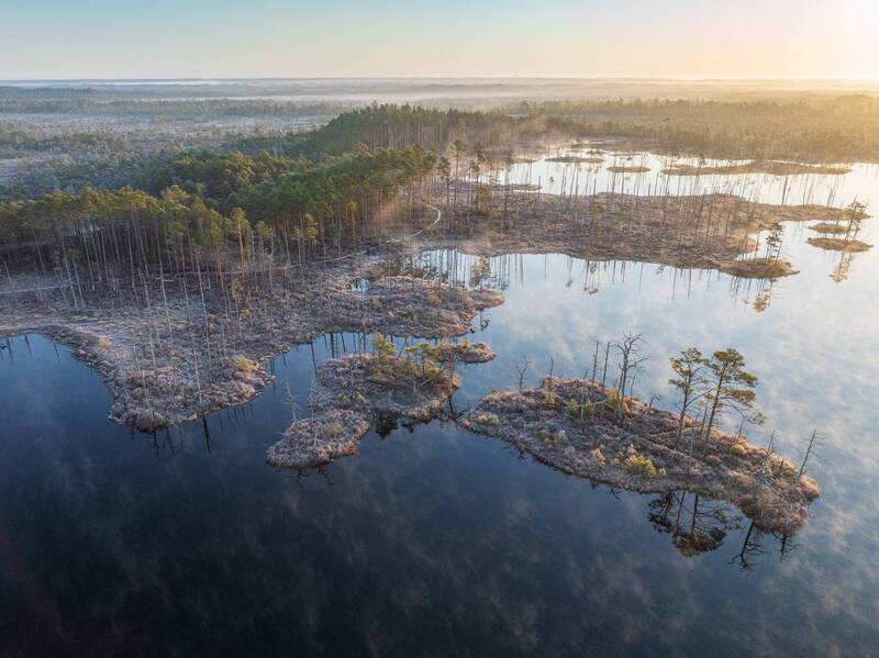 Туманное утро фото превью