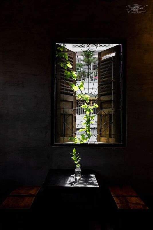 Nikon D750, 35mm f/2 D The green color is falling down. фото превью