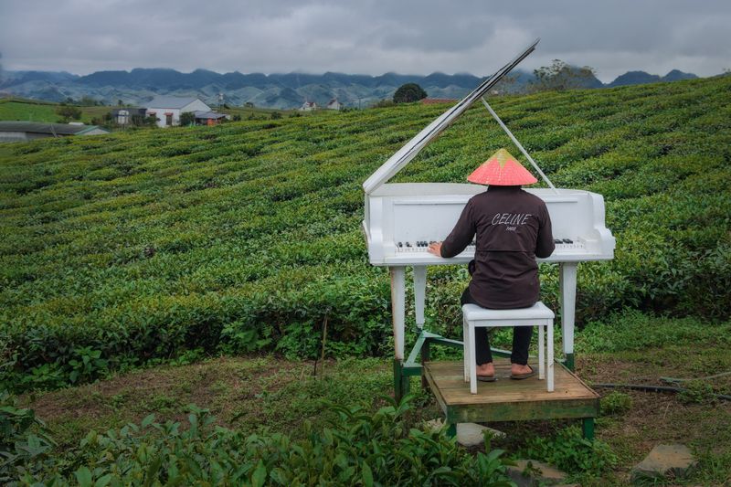 вьетнам, путешествие_по_вьетнаму Концерт для фортепьяно с оркестром, или Про белый рояль в кустах фото превью